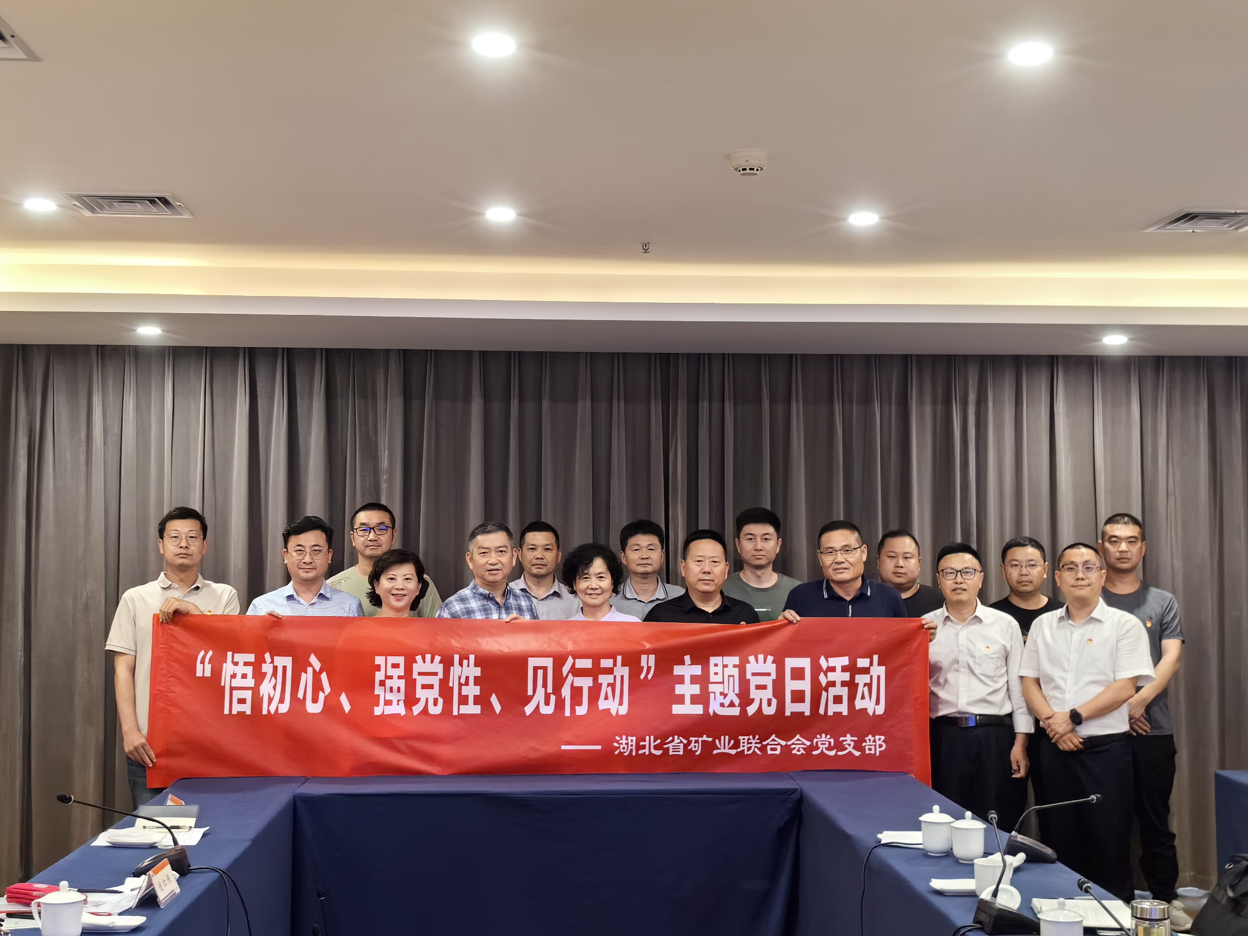 湖北省矿业联合会党支部开展 “悟初心、强党性、见行动”主题党日活动